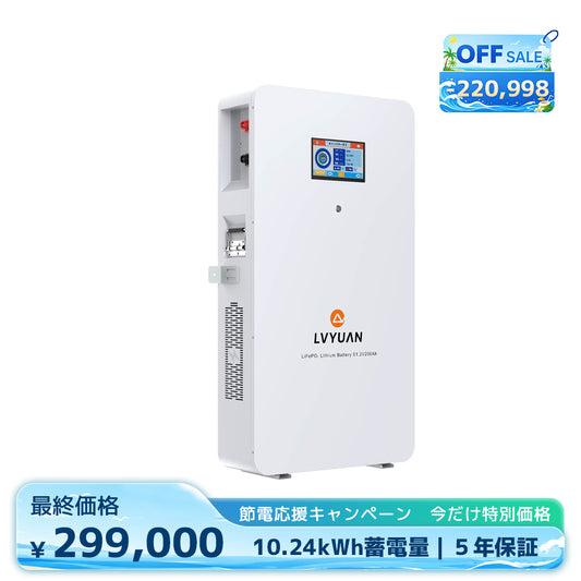 LVYUAN 51.2V/200Ah 10.24kWhリン酸鉄リチウムイオンバッテリー