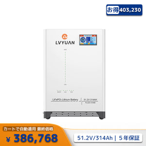 LVYUAN 51.2V/314Ah 16.07kWhリン酸鉄リチウムイオンバッテリー