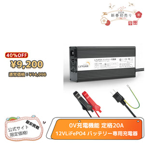 LVYUAN 14.6V 20A リン酸鉄リチウムイオンバッテリー専用充電器