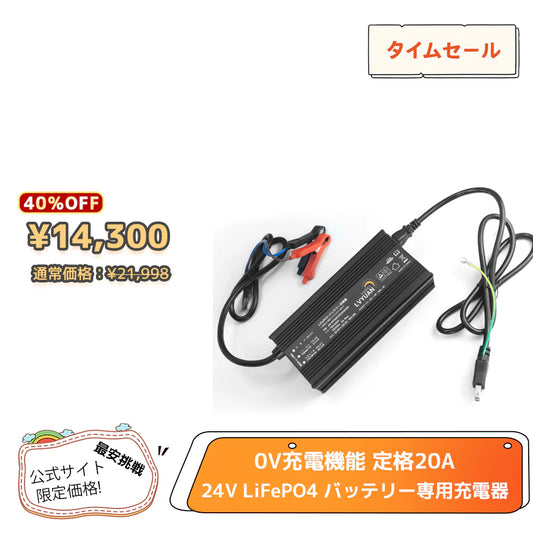 LVYUAN 29.2V 20A リン酸鉄リチウムイオンバッテリー専用充電器