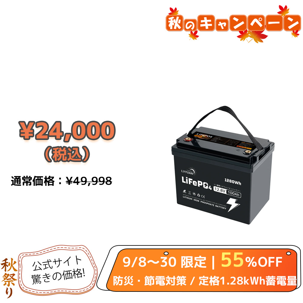 LVYUAN 12.8V/100Ah 1.28kWhリン酸鉄リチウムイオンバッテリー (mini)