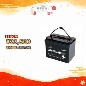 LVYUAN 12.8V/100Ah 1.28kWhリン酸鉄リチウムイオンバッテリー (mini)【納期一ヶ月】