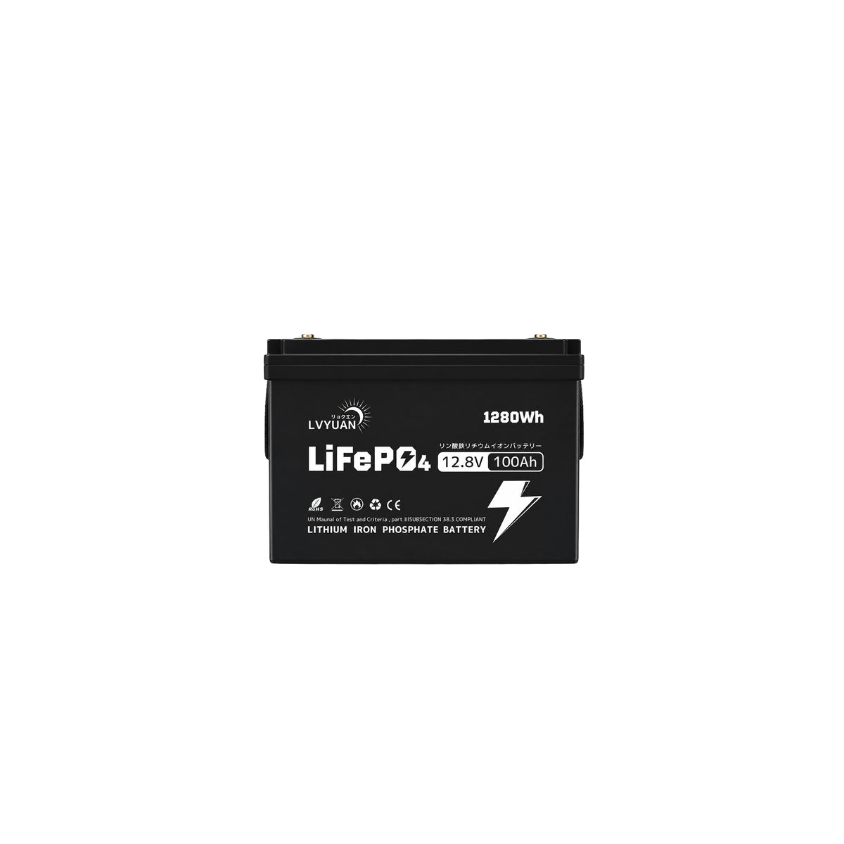 LVYUAN 12.8V/100Ah 1.28kWhリン酸鉄リチウムイオンバッテリー (mini)