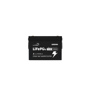 LVYUAN 12.8V/100Ah 1.28kWhリン酸鉄リチウムイオンバッテリー (mini)
