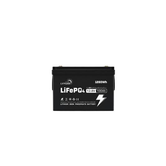 LVYUAN 12.8V/100Ah 1.28kWhリン酸鉄リチウムイオンバッテリー (mini)