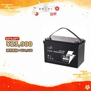 LVYUAN 12.8V/100Ah 1.28kWhリン酸鉄リチウムイオンバッテリー