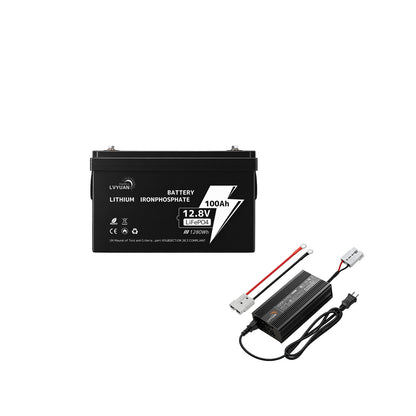 LVYUAN 12.8V/100Ah 1.28kWhリン酸鉄リチウムイオンバッテリー