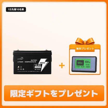 LVYUAN 12.8V/100Ah 1.28kWhリン酸鉄リチウムイオンバッテリー
