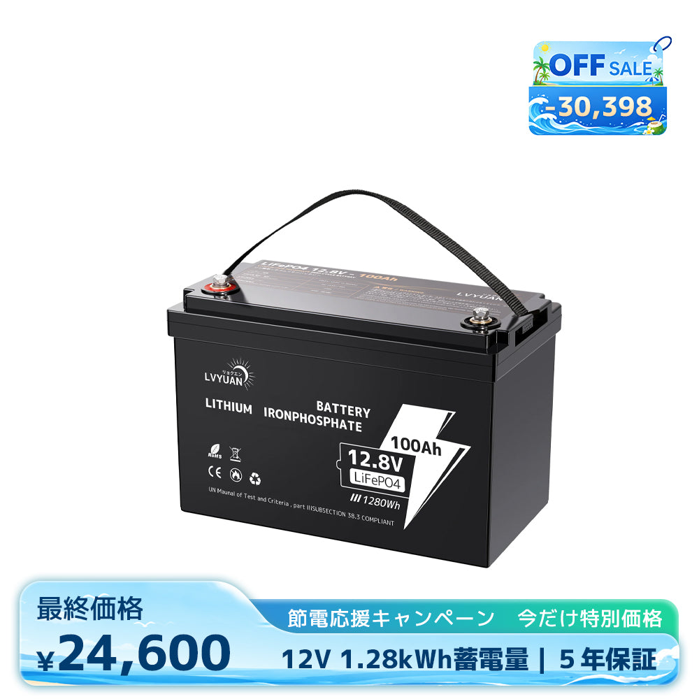 LVYUAN 3000W単相二線式ハイブリッド インバーター DC24V（直流