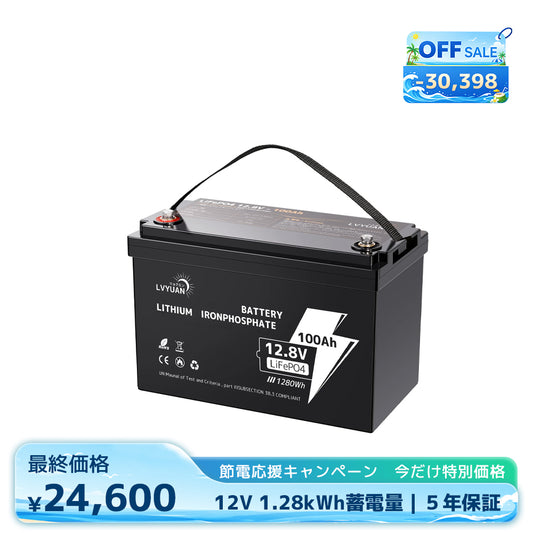 LVYUAN 12.8V/100Ah 1.28kWhリン酸鉄リチウムイオンバッテリー