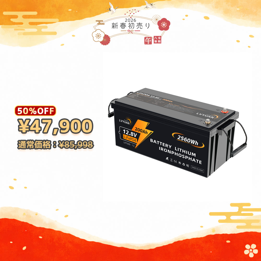LVYUAN 12.8V/200Ah 2.56kWhリン酸鉄リチウムイオンバッテリー
