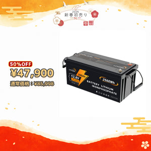 LVYUAN 12.8V/200Ah 2.56kWhリン酸鉄リチウムイオンバッテリー