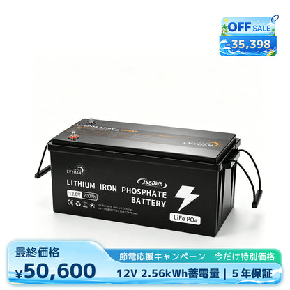 LVYUAN 12.8V/200Ah 2.56kWhリン酸鉄リチウムイオンバッテリー