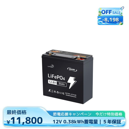 LVYUAN 12.8V/30Ah 384Whリン酸鉄リチウムイオンバッテリー