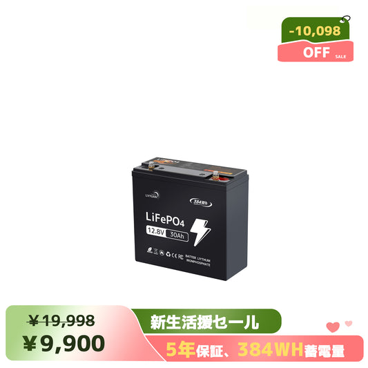 LVYUAN 12.8V/30Ah 384Whリン酸鉄リチウムイオンバッテリー
