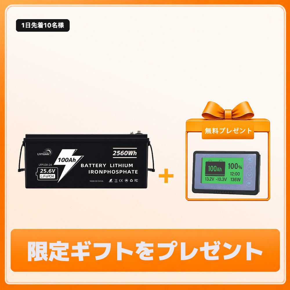 LVYUAN 25.6V/100Ah 2.56kWhリン酸鉄リチウムイオンバッテリー