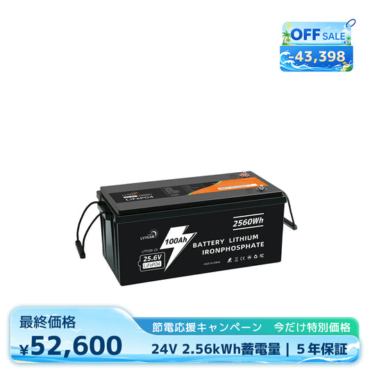 LVYUAN 25.6V/100Ah 2.56kWhリン酸鉄リチウムイオンバッテリー