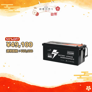 LVYUAN 25.6V/100Ah 2.56kWhリン酸鉄リチウムイオンバッテリー