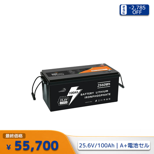 LVYUAN 25.6V/100Ah 2.56kWhリン酸鉄リチウムイオンバッテリー