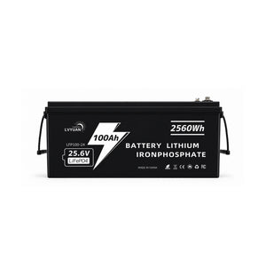 LVYUAN 25.6V/100Ah 2.56kWhリン酸鉄リチウムイオンバッテリー