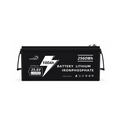 LVYUAN 25.6V/100Ah 2.56kWhリン酸鉄リチウムイオンバッテリー