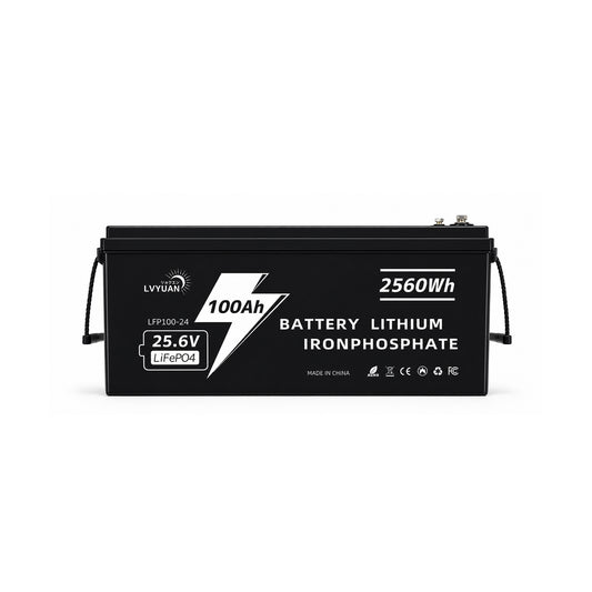 LVYUAN 25.6V/100Ah 2.56kWhリン酸鉄リチウムイオンバッテリー