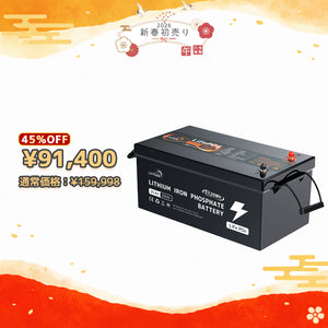 LVYUAN 25.6V/200Ah リン酸鉄リチウムイオンバッテリー