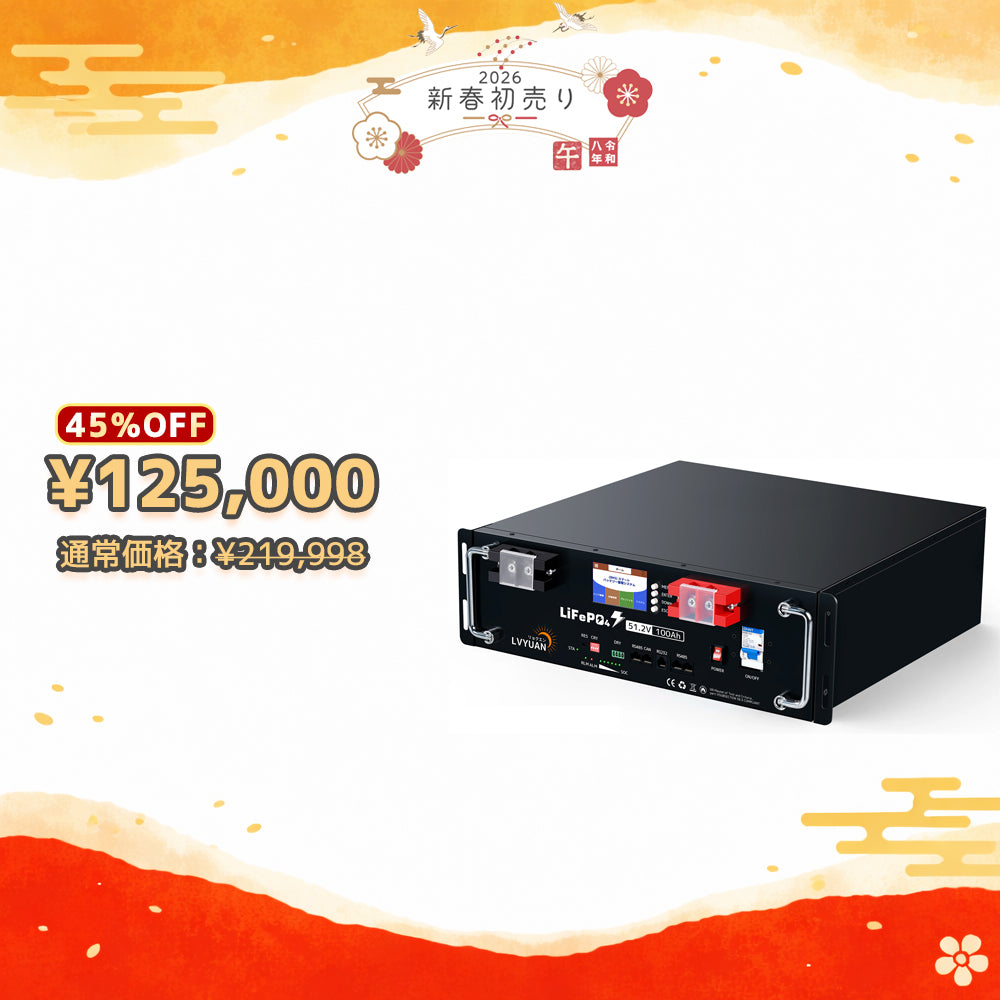 LVYUAN 51.2V/100Ah 5.12kWhリン酸鉄リチウムイオンバッテリー ラック型