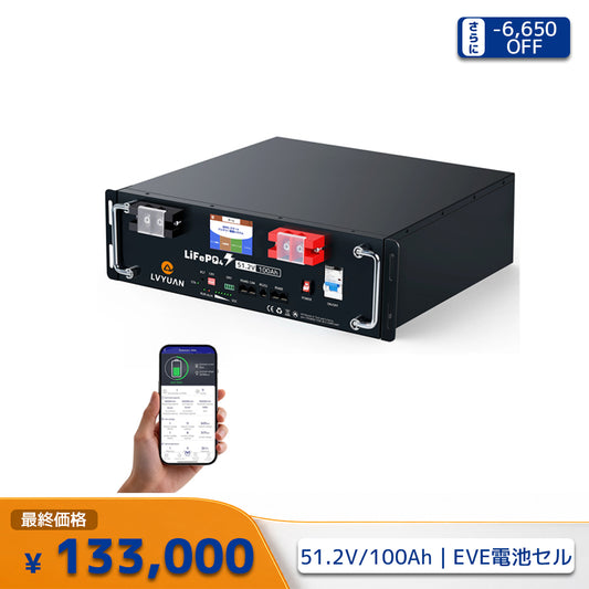 LVYUAN 51.2V/100Ah 5.12kWhリン酸鉄リチウムイオンバッテリー ラック型
