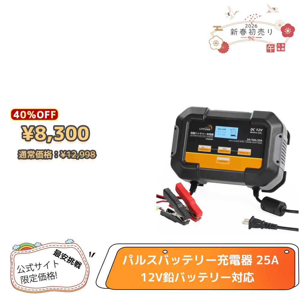 LVYUAN 定格25A パルスバッテリー充電器 12V鉛バッテリー対応