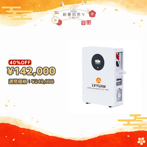 LVYUAN 51.2V/100Ah 5.12kWhリン酸鉄リチウムイオンバッテリー