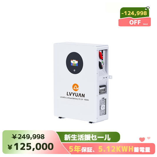 LVYUAN 51.2V/100Ah 5.12kWhリン酸鉄リチウムイオンバッテリー