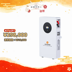 LVYUAN 51.2V/200Ah 10.24kWhリン酸鉄リチウムイオンバッテリー