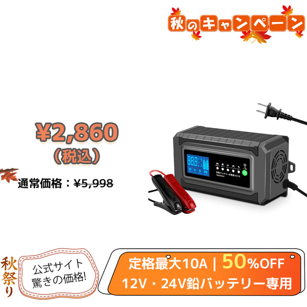LVYUAN 10Aバッテリーパルス充電器 12V/24V対応 - LVYUAN