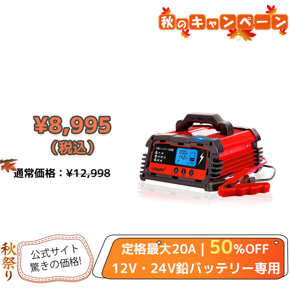 LVYUAN パルスバッテリー充電器 20A  12V・24V鉛バッテリー専用