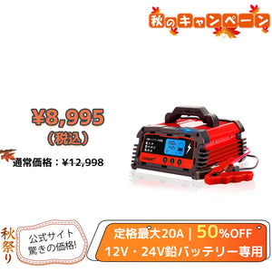 LVYUAN パルスバッテリー充電器 20A  12V・24V鉛バッテリー専用