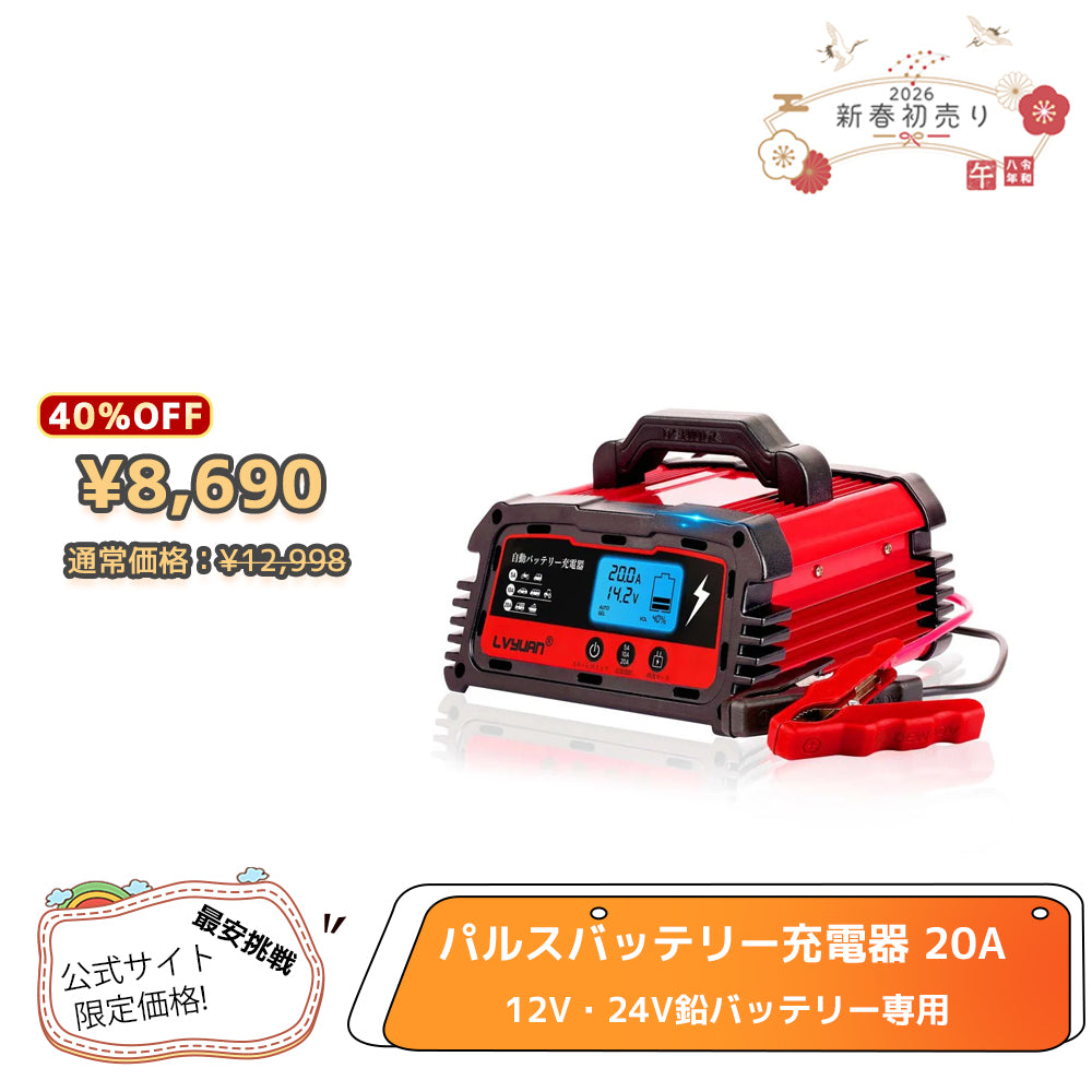 LVYUAN 定格20A パルスバッテリー充電器 12V・24V鉛バッテリー専用