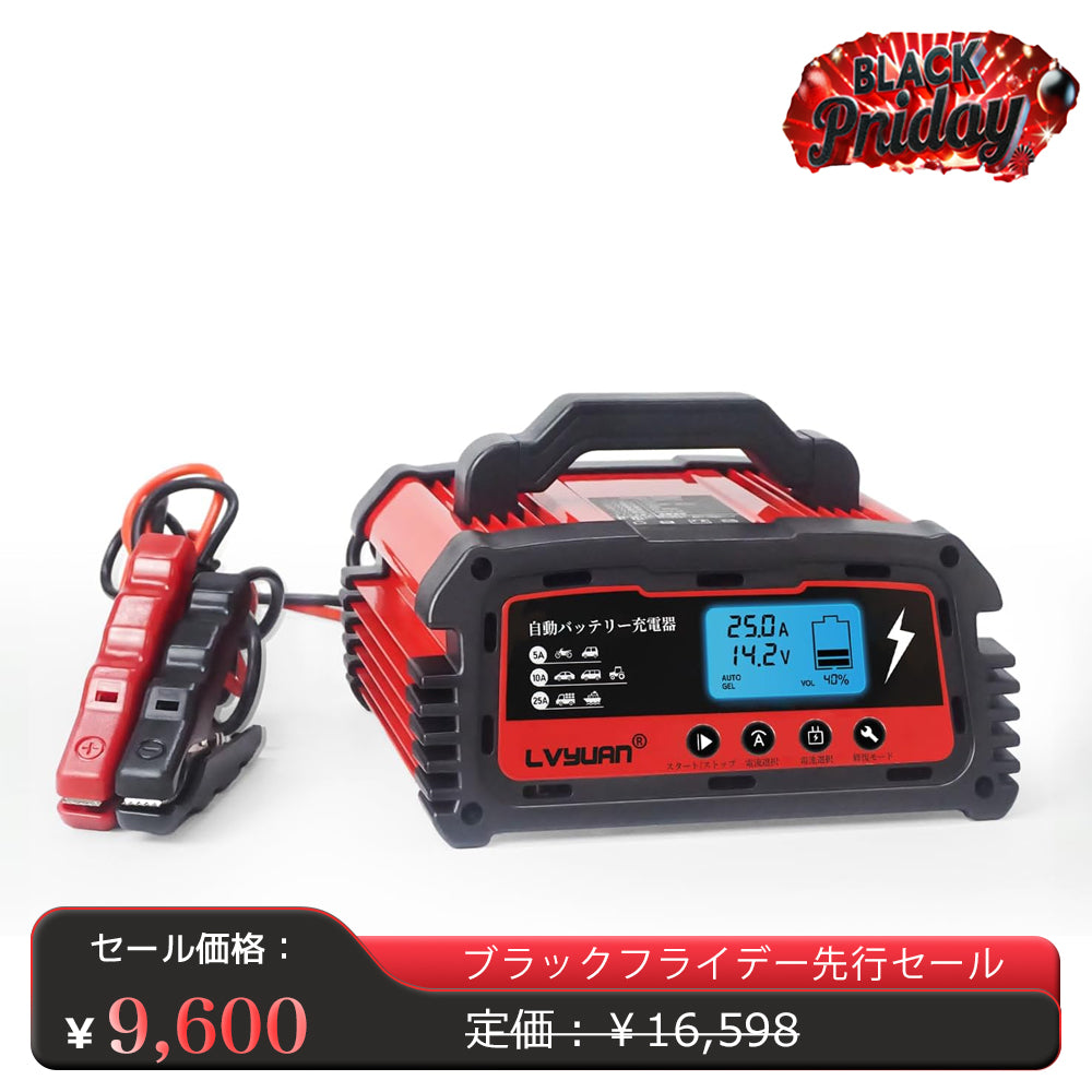 LVYUAN 25Aバッテリーパルス充電器 12V/24V対応 - LVYUAN（リョクエン）公式ショップ