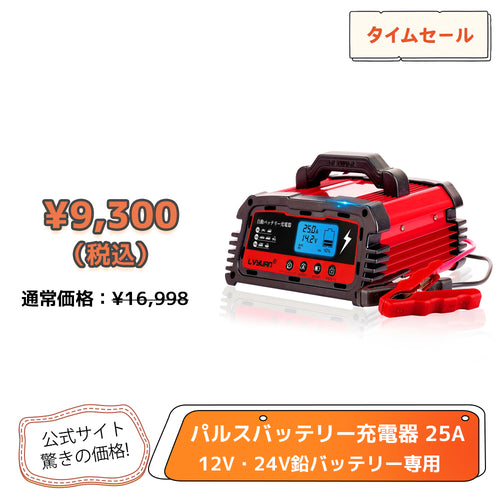 LVYUAN 定格25A パルスバッテリー充電器 12V・24V鉛バッテリー専用