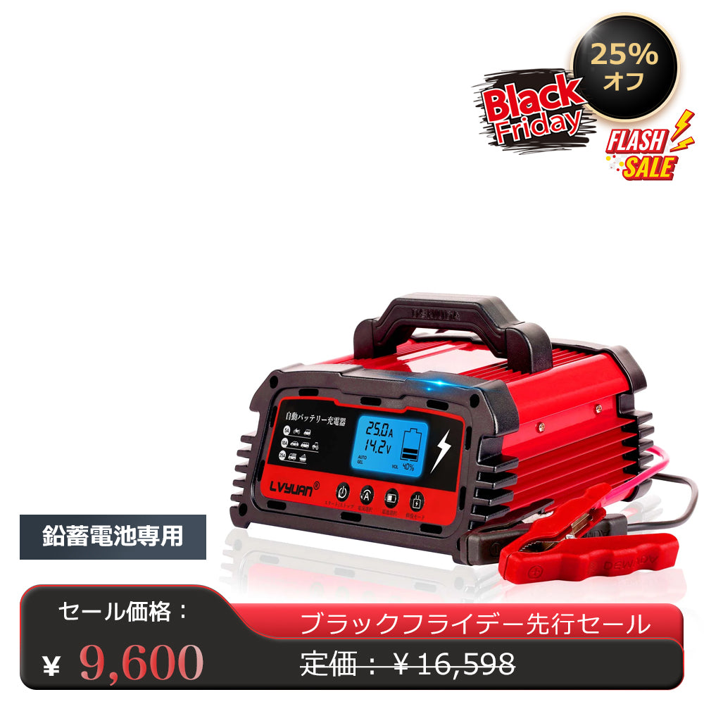 LVYUAN 25Aバッテリーパルス充電器 12V/24V対応 - LVYUAN（リョクエン）公式ショップ