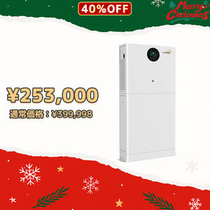 LVYUAN 一体型単相二線式ハイブリッド蓄電システム