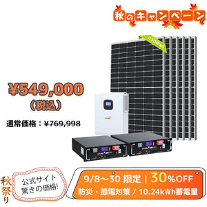 LVYUAN 5000W単相2線式ハイブリッド発電・蓄電システム