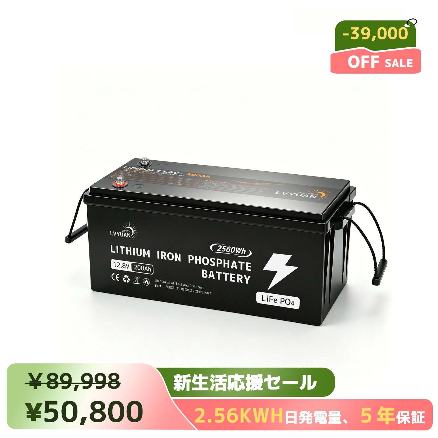 LVYUAN 3000W変圧器 降圧・昇圧兼用型トランス AC100V/110V⇄110V/120V