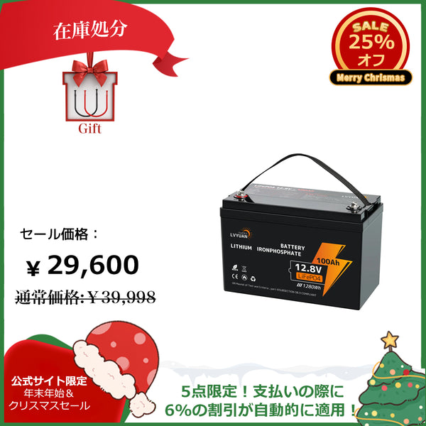 LVYUAN 12.8V/100Ah 1.28kWhリン酸鉄リチウムイオンバッテリー - LVYUAN（リョクエン）公式ショップ