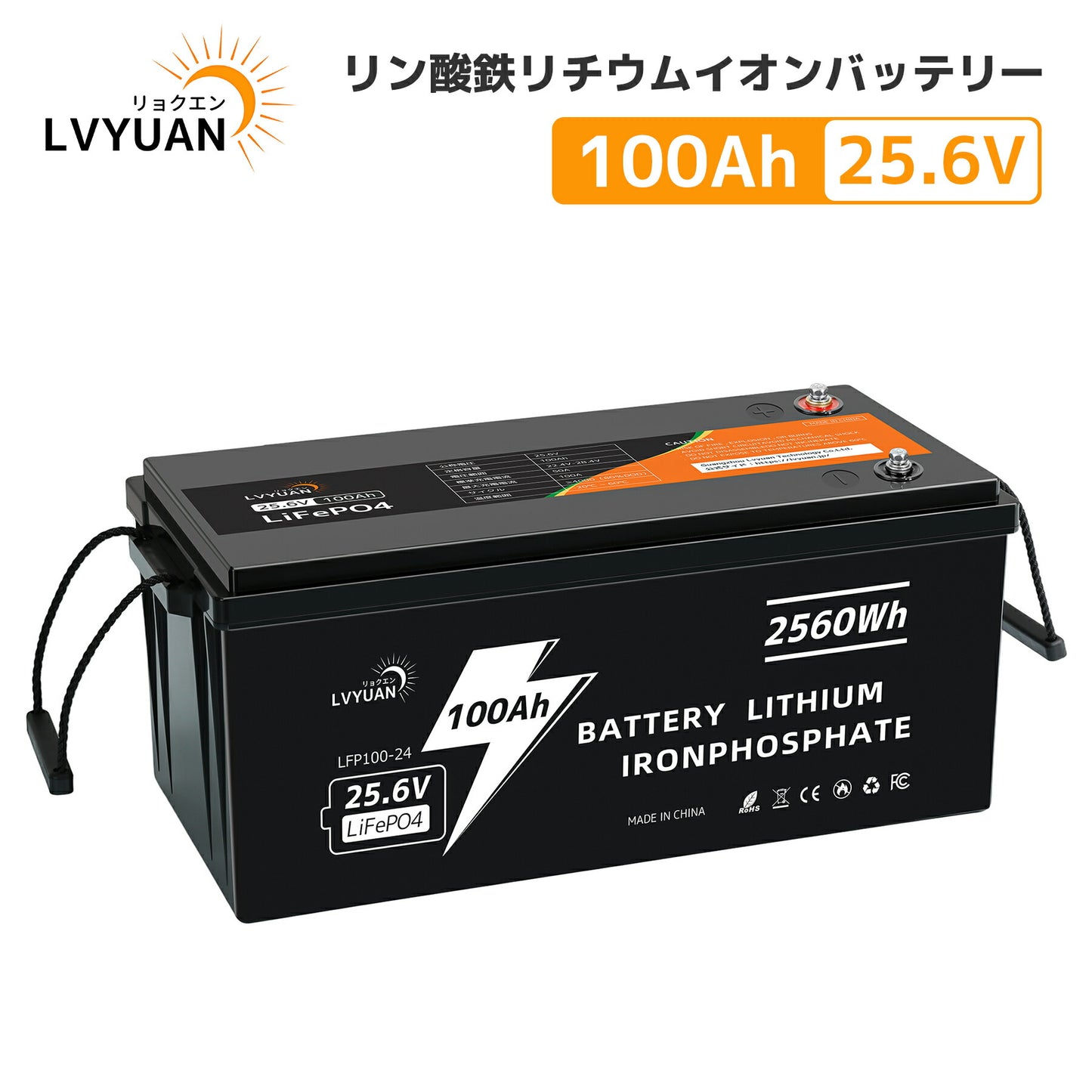 LVYUAN 25.6V/100Ah 2.56kWhリン酸鉄リチウムイオンバッテリー