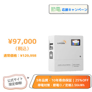 LVYUAN 25.6V/100Ah 2.56kWhリン酸鉄リチウムイオンバッテリー
