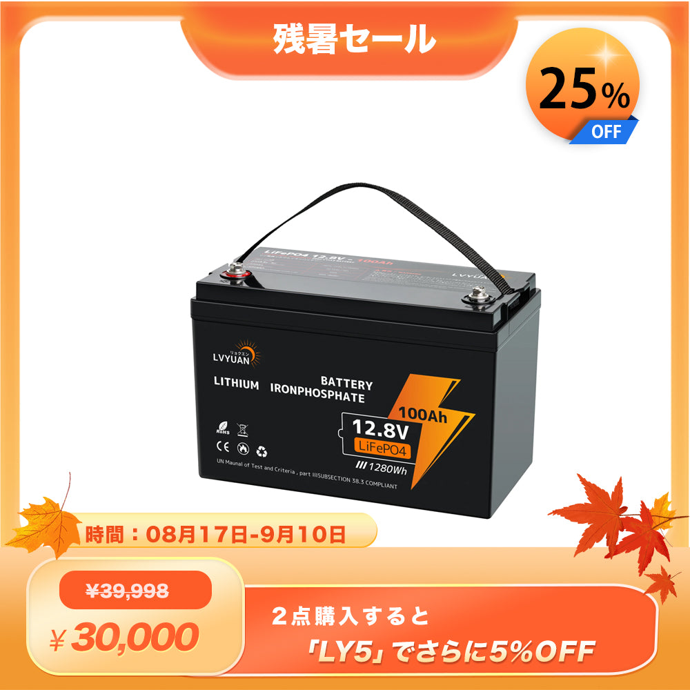 LVYUAN 12.8V/100Ah 1.28kWhリン酸鉄リチウムイオンバッテリー - LVYUAN（リョクエン）公式ショップ