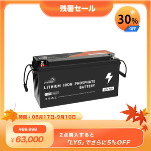 LVYUAN 12.8V/200Ah 2.56kWhリン酸鉄リチウムイオンバッテリー - LVYUAN（リョクエン）公式ショップ