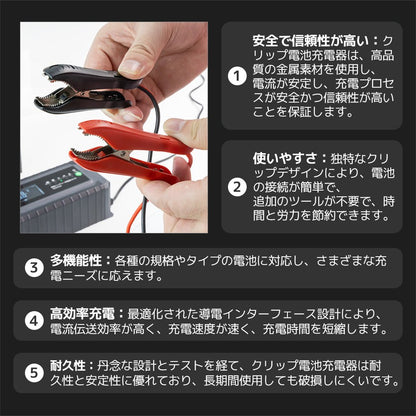 LVYUAN パルスバッテリー充電器 10A 12V・24V鉛バッテリー専用 - LVYUAN（リョクエン）公式ショップ