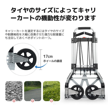 LVYUAN(リョクエン)折りたたみ式 キャリーカート 耐荷重160kg （2輪平地式 - 銀） - LVYUAN（リョクエン）公式ショップ